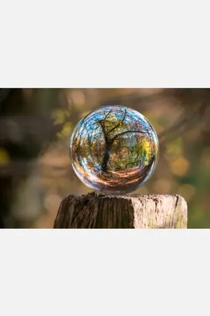 ปกนิยาย climate