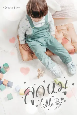 ปกนิยาย ลูกหมู