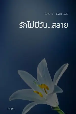 ปกนิยาย รักไม่มีวัน...สลาย