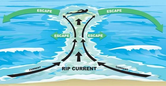 ภาพจาก National Oceanic and Atmospheric Administration