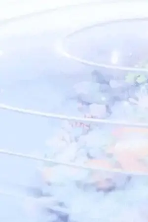 ปกนิยาย Witch's Heart : For a tomorrow without tears.  ||  SiriusXOc