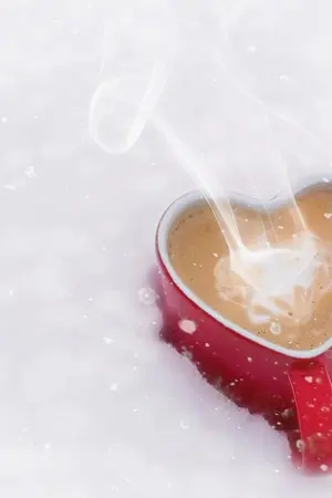 ปกนิยาย กลรักละลายใจ