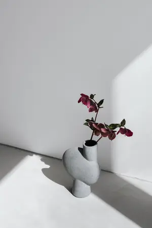 ปกนิยาย ชีวิตใหม่ใต้ตะวันเดิม