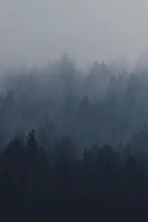 ปกนิยาย The End (Really?)