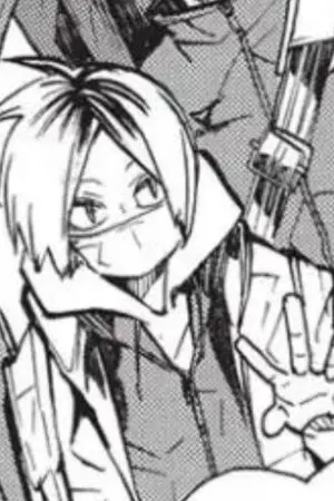 ปกนิยาย [haikyuu/Allkenma] ลูกเเมวหยิ่ง