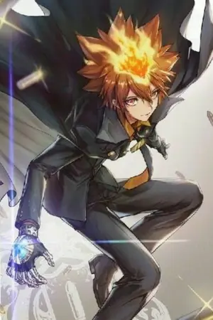 ปกนิยาย [Fic Reborn] no!! ไม่เห็นเหมือนในเรื่องเลยนี่!! (Tsunayoshi × Oc)