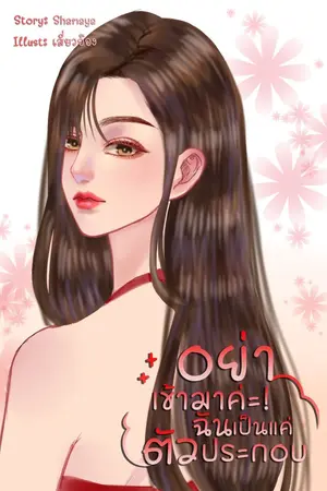 ปกนิยาย อย่าเข้ามาค่ะ! ฉันเป็นแค่ตัวประกอบ