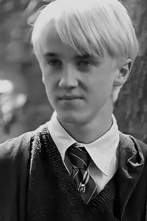 ปกนิยาย [Harry Potter Fanficion] Favorite boy | DM x OC