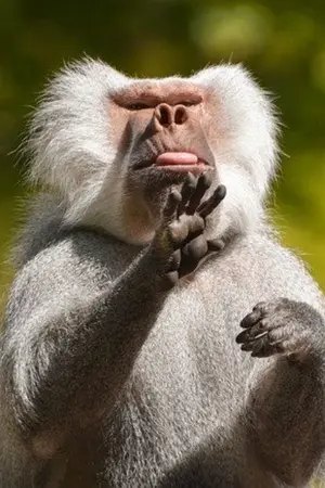 ปกนิยาย Paindise  หนอนไร้ค่าแล้วไง