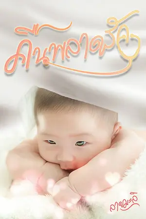 ปกนิยาย คืนพลาดรัก(มี e-book)