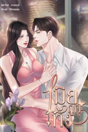 ปกนิยาย เมียถูกทิ้ง