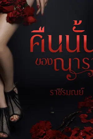 ปกนิยาย คืนนั้นของณารา