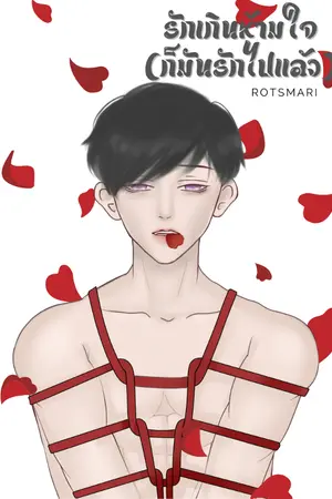 ปกนิยาย รักเกินห้ามใจ (ก็มันรักไปแล้ว) มี E-book