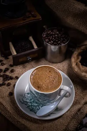 ปกนิยาย cafe of love สะดุดรักนายนักปรุง