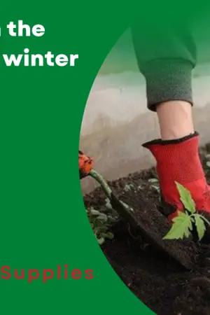 ปกนิยาย Things to do in the garden during winter