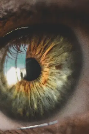 ปกนิยาย ความลับสัญจร