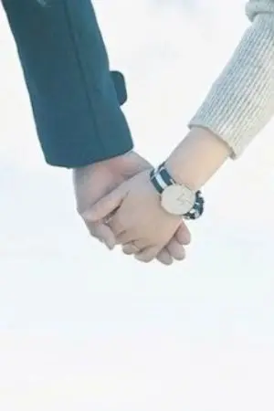 ปกนิยาย พิชิตใจคุณชายฟีนิก