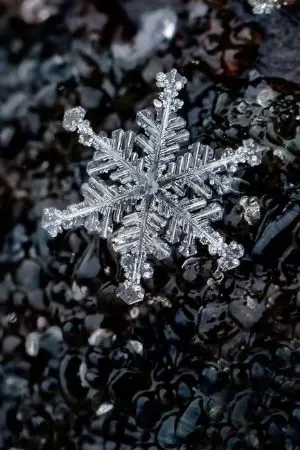 ปกนิยาย Snow black with the lost mirror