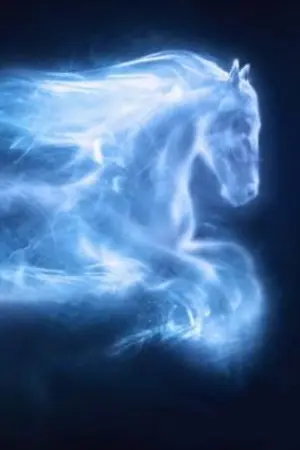 ปกนิยาย [Fic Vampire Twilight & Harry Potter] — forget me not (OC)