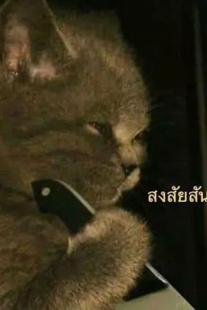 ปกนิยาย ๗ นี่อ่านว่า 7 เหรอ