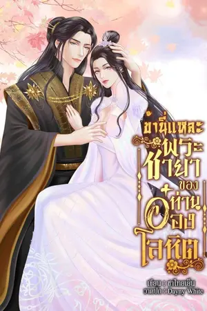 ปกนิยาย