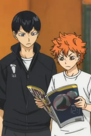 ปกนิยาย KageHina : Doujinshi [TH]