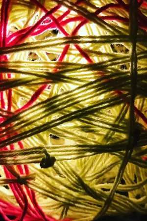 ปกนิยาย the dreams