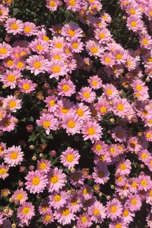 ปกนิยาย เกิดใหม่เป็นเศษสวะ