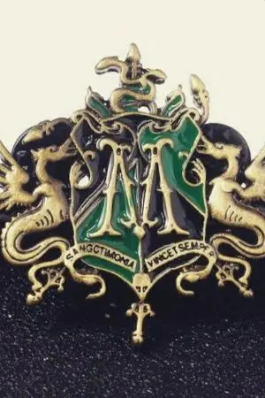 ปกนิยาย {Fic harry potter} Malfoy twins