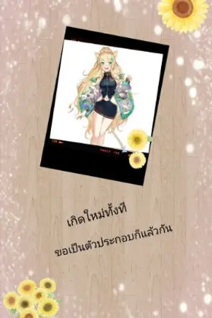 ปกนิยาย