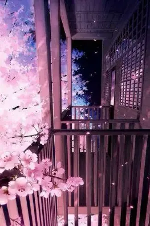 ปกนิยาย [ LOOKISM ] SAKURA ( OC )