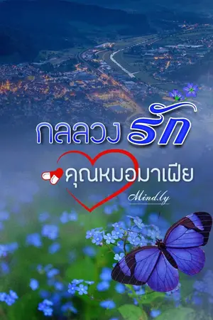 ปกนิยาย