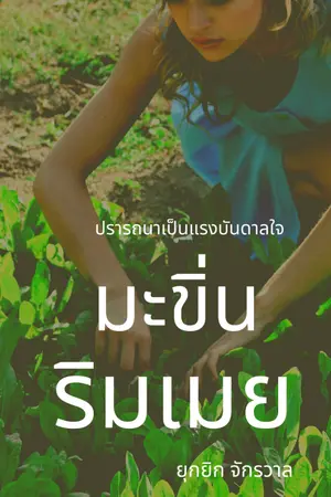 ปกนิยาย มะขิ่นริมเมย
