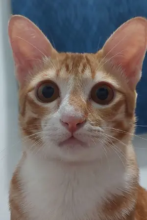 ปกนิยาย เรื่องสั้น อ่านเวลาว่างๆ