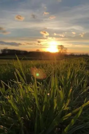 ปกนิยาย หญิงต่างแดน เสือสังข์ x oc [Fic ขุนพันธ์1]