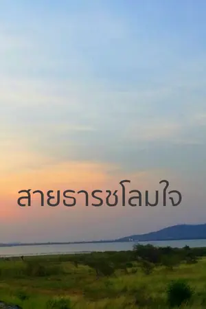 ปกนิยาย สายธารชโลมใจ