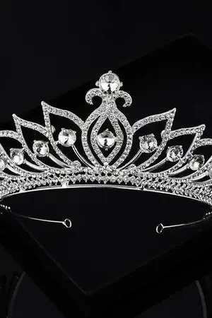 ปกนิยาย ปฏิบัติการเอาตัวรอดของเจ้าหญิงตกอับ