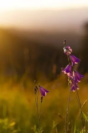 ปกนิยาย ชีวิตประจำวันของราชายูทูปเบอร์ - Daily life of the YouTuber King