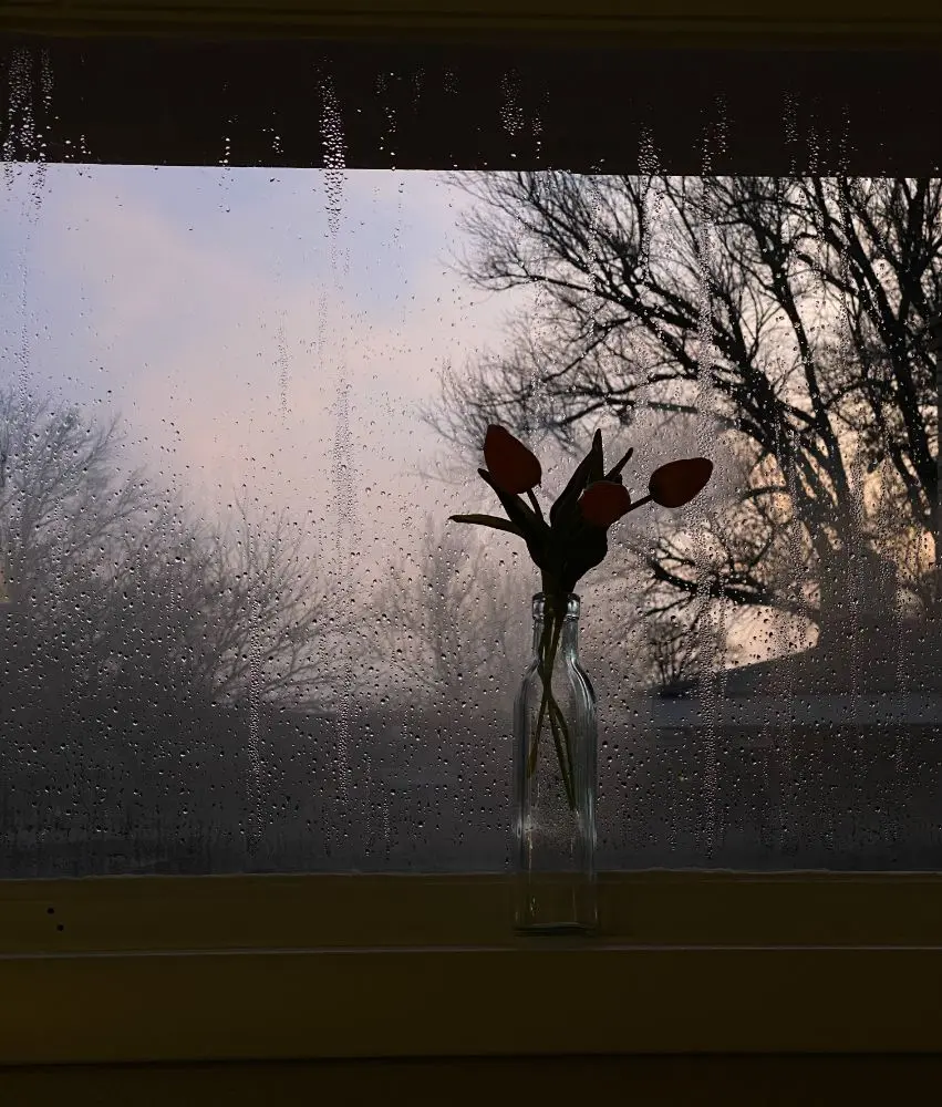My Image 5