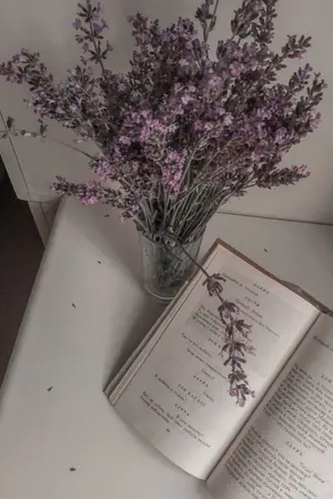 ปกนิยาย Lavender