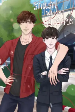 ปกนิยาย รักแรกพบของเด็กวิสวะ