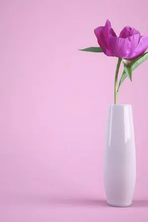 ปกนิยาย พี่น้องสุดเลิฟ