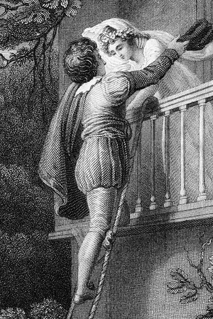 ปกนิยาย Cruel & Ardent (Genesis of Romeo & Juliet)