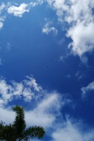 ปกนิยาย เชื่อไหม...ผมรักเมียที่สุดในโลกเล๊ยย ทำไมมีแต่คนไม่เชื่อหว่าา