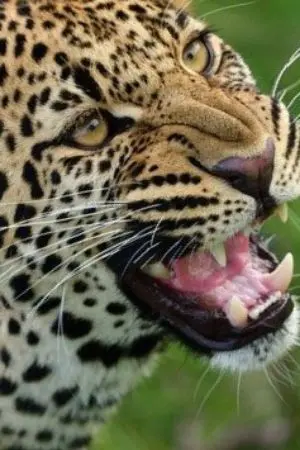 ปกนิยาย ผมไม่ใช่ไกด์ของคุณ