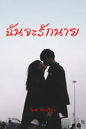ปกนิยาย ฉันจะรักนาย