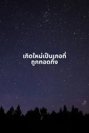 ปกนิยาย