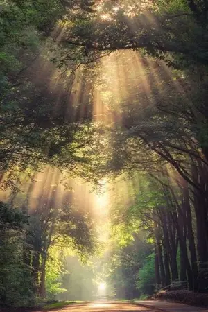 ปกนิยาย บันทึกสงครามแห่งผืนป่า