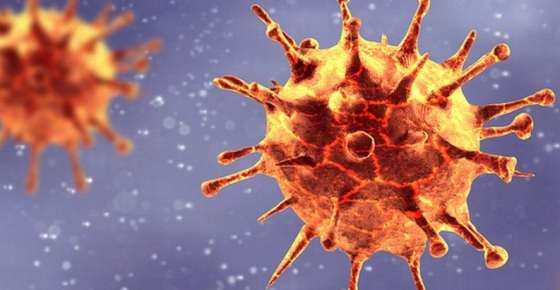 ภาพจาก  bbc.com