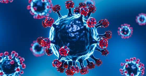 ภาพจาก freepik.com